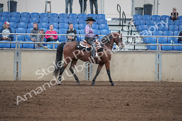 2019 Morgan Horse Show - Sept 01, 2019 - 07070