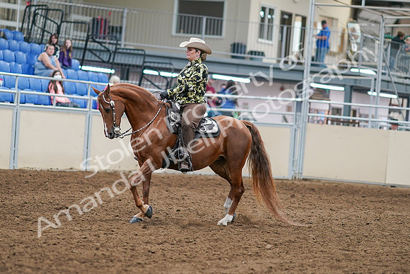 2020 - AB Morgan Horse - Sat, Sept 05 - 08886
