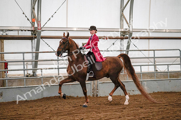 July 19, 2019 - 8727