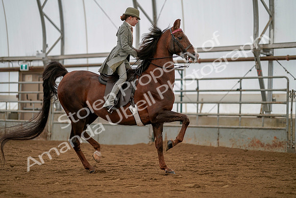 July 19, 2019 - 4042