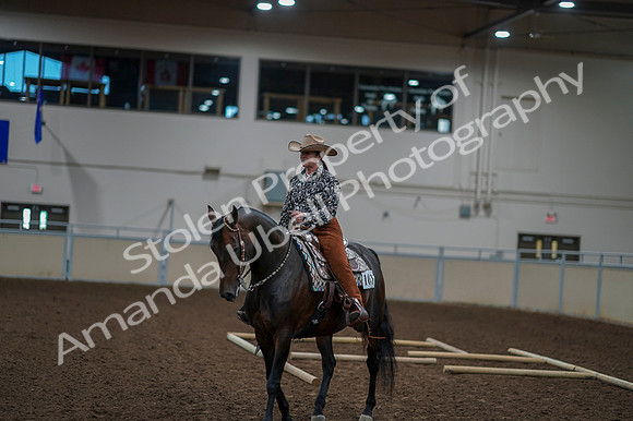 2020 - AB Morgan Horse - Fri, Sept 04 - 00374