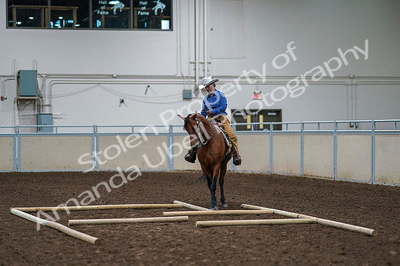 2020 - AB Morgan Horse - Fri, Sept 04 - 00263