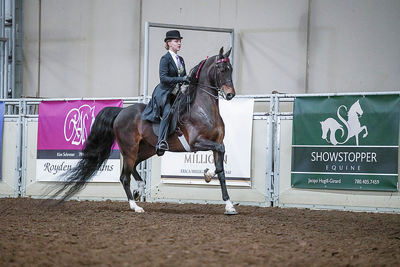 Spring Fling - Saturday - April 20, 2019  -  00514