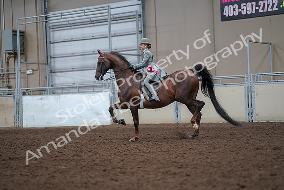2019 Morgan Horse Show - Aug 30, 2019 - 18274