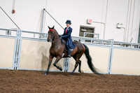 2020 - AB Morgan Horse - Sat, Sept 05 - 08530