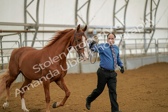 July 19, 2019 - 926