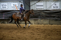 Rein Fence/Box - Novice Non Pro