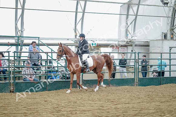 July 21, 2019 - 09582