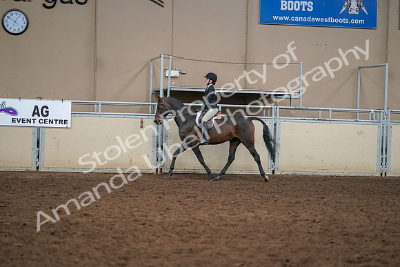 2019 Morgan Horse Show - Aug 30, 2019 - 12210