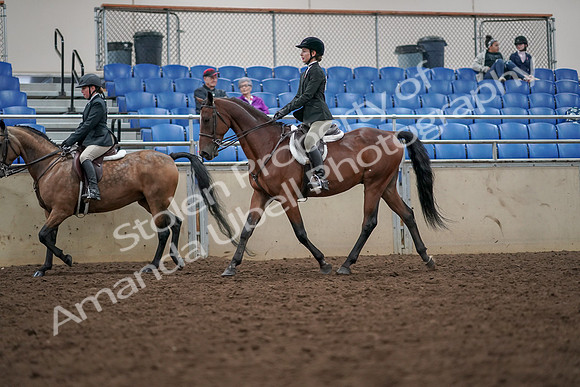 2019 Morgan Horse Show - Aug 30, 2019 - 20460