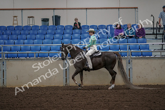 2019 Morgan Horse Show - Aug 30, 2019 - 25959