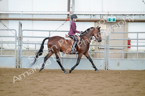 July 21, 2019 - 03387