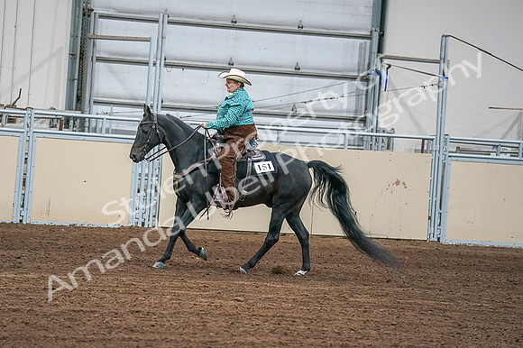 2020 - AB Morgan Horse - Fri, Sept 04 - 00596