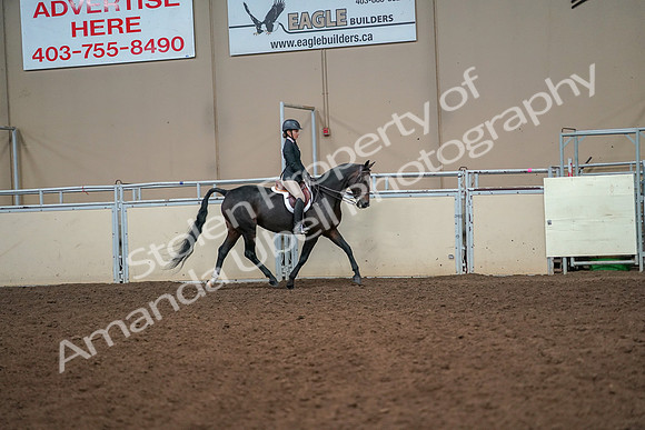 2019 Morgan Horse Show - Aug 30, 2019 - 12350