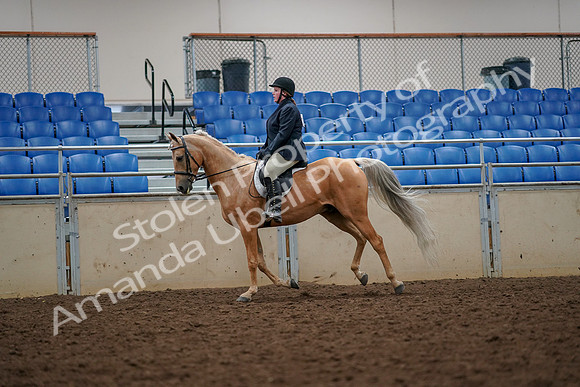 2019 Morgan Horse Show - Aug 30, 2019 - 22365