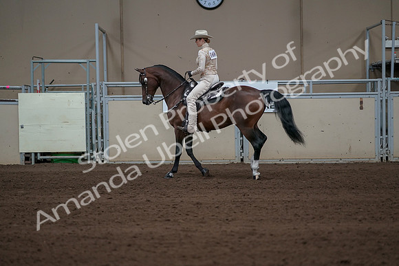 2019 Morgan Horse Show - Sept 01, 2019 - 06966