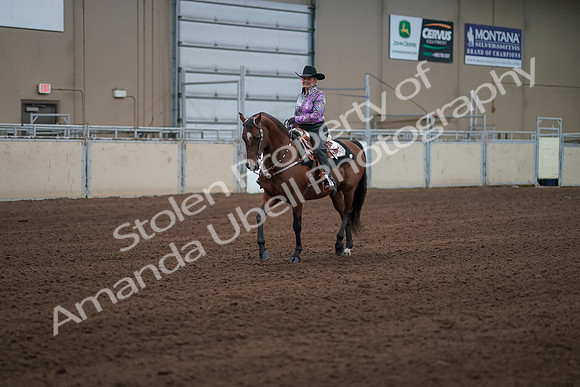2019 Morgan Horse Show - Sept 01, 2019 - 07196
