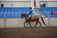 2019 Morgan Horse Show - Aug 31, 2019 - 17131