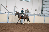 2020 - AB Morgan Horse - Sat, Sept 05 - 04954