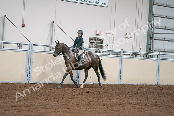 2020 - AB Morgan Horse - Sat, Sept 05 - 04954
