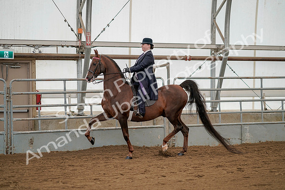 July 20, 2019 - 02234