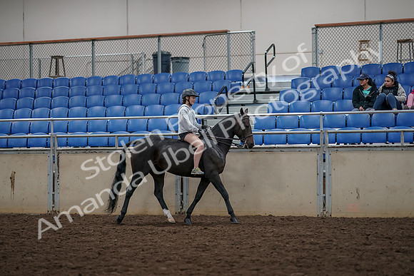 2019 Morgan Horse Show - Aug 30, 2019 - 31378
