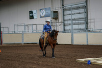 2020 - AB Morgan Horse - Fri, Sept 04 - 00216