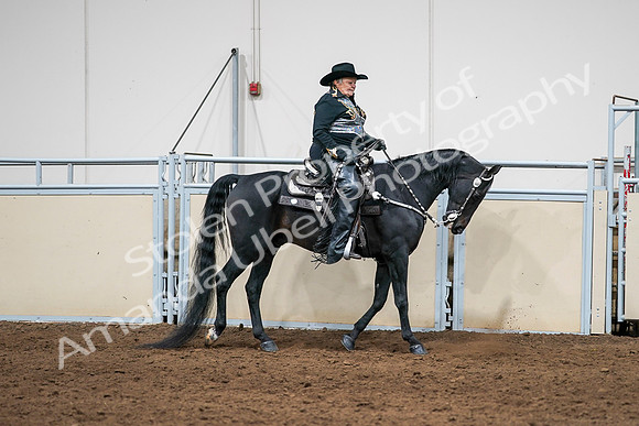2020 - AB Morgan Horse - Sat, Sept 05 - 08948