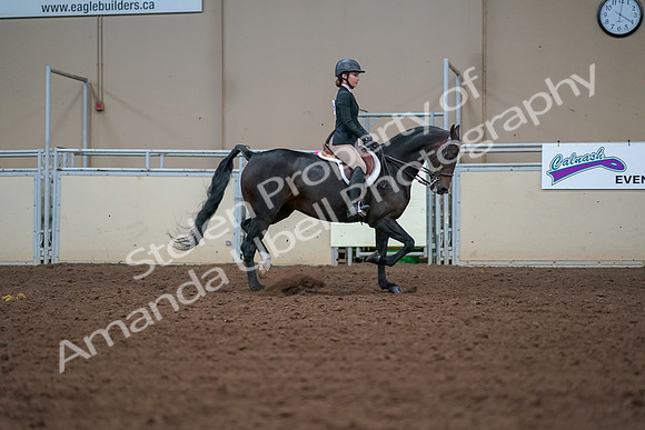 2019 Morgan Horse Show - Aug 30, 2019 - 20778