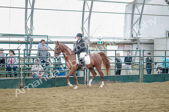 July 21, 2019 - 09585