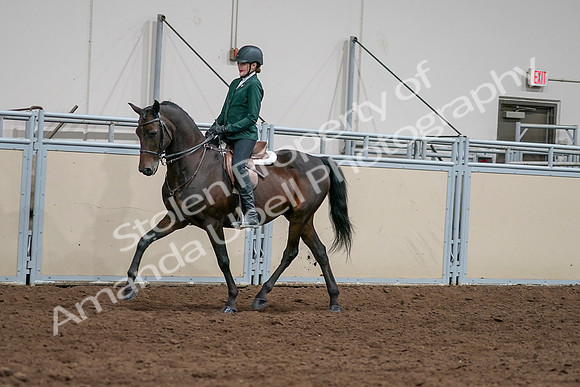 2020 - AB Morgan Horse - Sat, Sept 05 - 05034