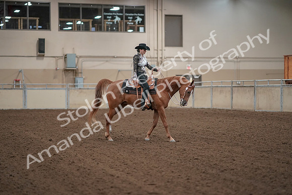 2019 Morgan Horse Show - Aug 30, 2019 - 26219