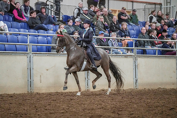 Spring Fling - Saturday - April 20, 2019  -  04278