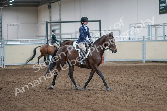 2020 - AB Morgan Horse - Fri, Sept 04 - 05962