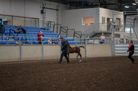 2019 Morgan Horse Show - Aug 31, 2019 - 00363