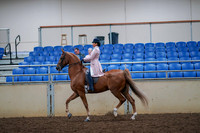 2019 Morgan Horse Show - Aug 30, 2019 - 21397