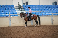 2019 Morgan Horse Show - Aug 30, 2019 - 22700