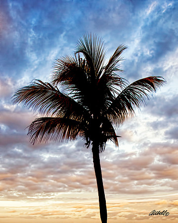 Jamaica - 024