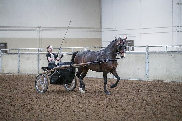 Spring Fling - Saturday - April 20, 2019  -  00294