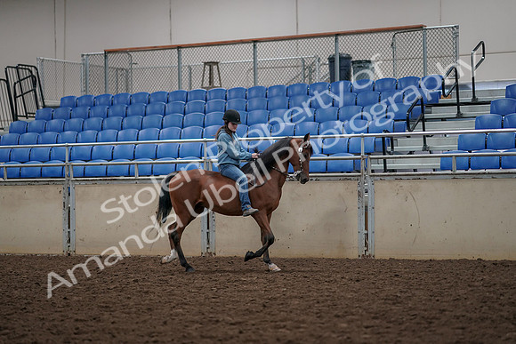 2019 Morgan Horse Show - Aug 30, 2019 - 31338