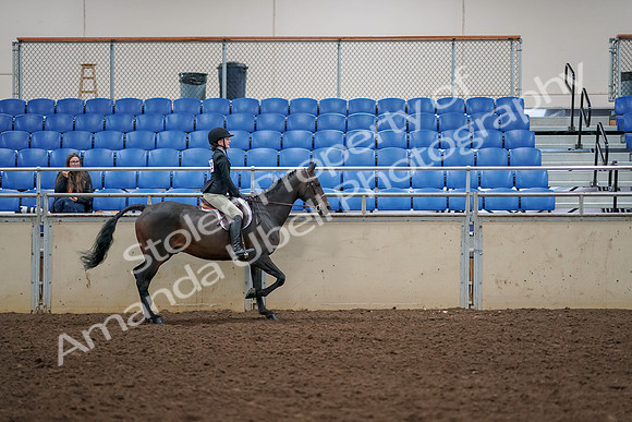 2019 Morgan Horse Show - Aug 30, 2019 - 12435