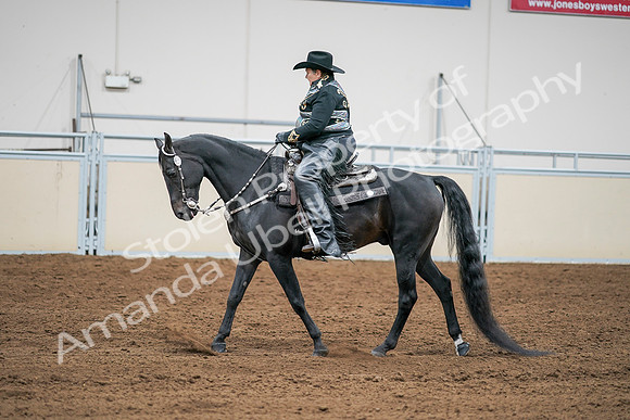 2020 - AB Morgan Horse - Sat, Sept 05 - 08965