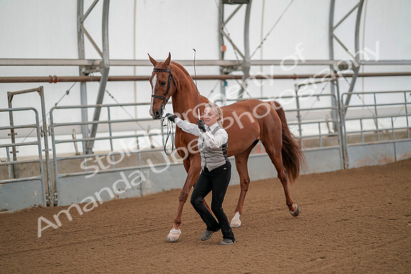 July 19, 2019 - 81