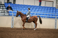 2020 - AB Morgan Horse - Fri, Sept 04 - 02961