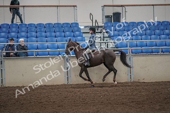 2019 Morgan Horse Show - Aug 31, 2019 - 05048