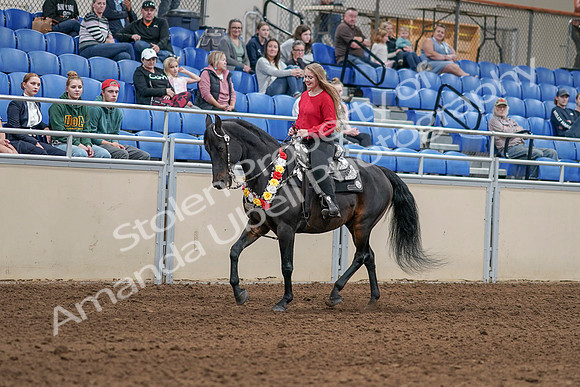 2020 - AB Morgan Horse - Sat, Sept 05 - 10421