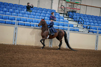 2020 - AB Morgan Horse - Fri, Sept 04 - 03638