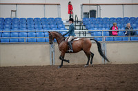 2019 Morgan Horse Show - Aug 31, 2019 - 17128