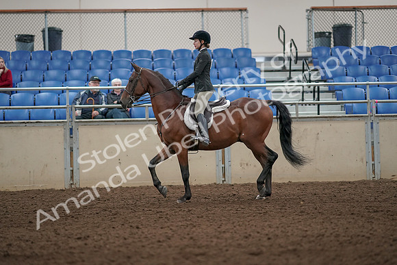 2019 Morgan Horse Show - Aug 31, 2019 - 04819