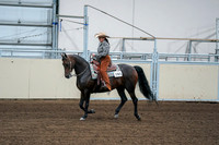 2020 - AB Morgan Horse - Fri, Sept 04 - 00403